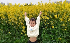 无盐女是什么意思